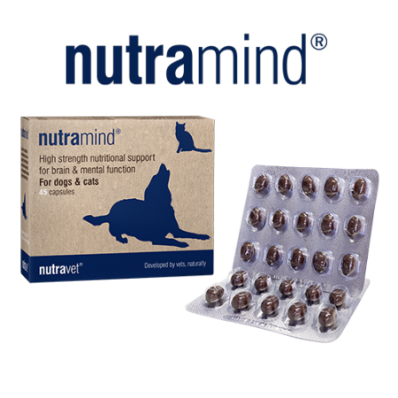 nutramind 45 capsules