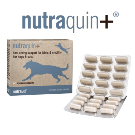 nutraquin